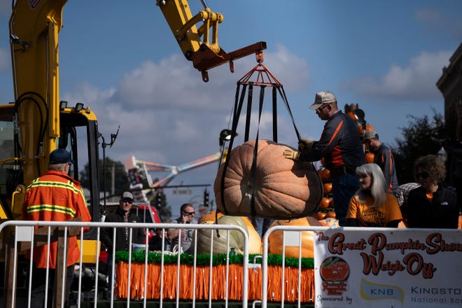 Oct 18, 2023; Circleville, OH, USA; Volunteers help to direct the crane operator to lift a pumpkin that is showing signs of ÒCantalopingÓ during the Circleville Pumpkin Show.